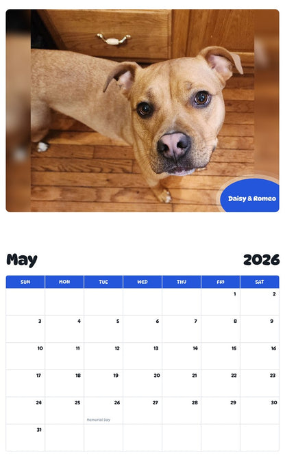 2026 - 2027 Daisy & Romeo - Pawidols Pet Calendar
