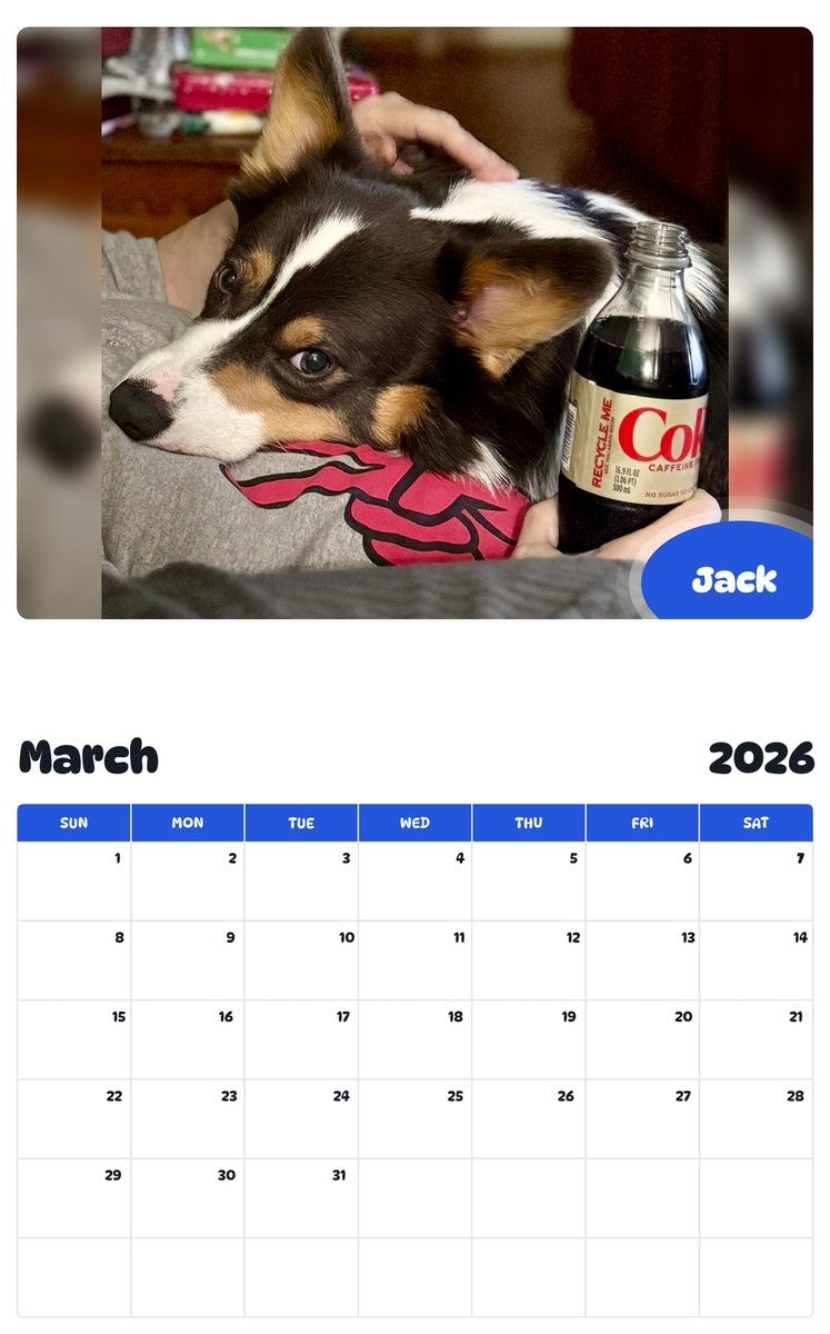 November 2025 - October 2026 Jack - Pawidols Pet Calendar