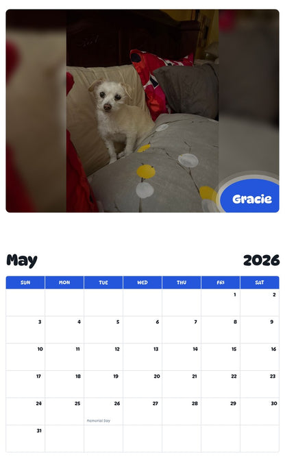 2026 - 2027 Gracie - Pawidols Pet Calendar