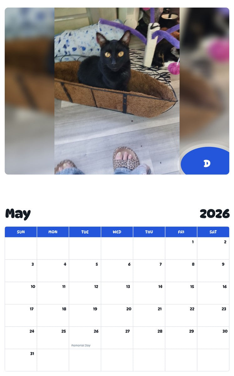 2026 - 2027 D - Pawidols Pet Calendar