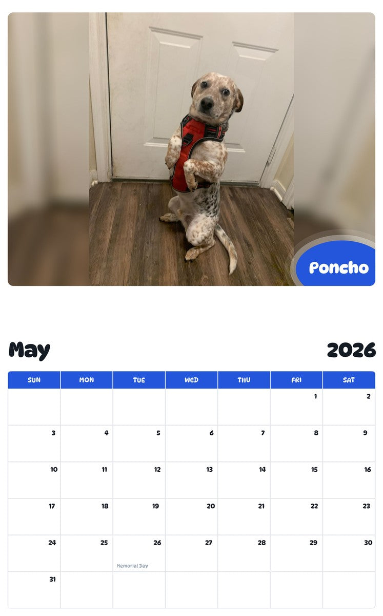 2026 - 2027 Poncho - Pawidols Pet Calendar