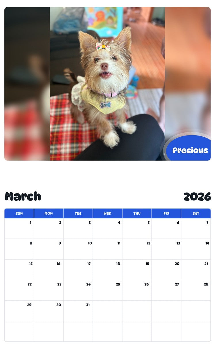 November 2025 - October 2026 Precious - Pawidols Pet Calendar