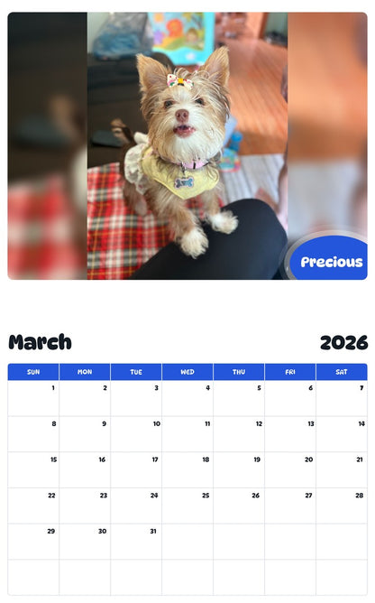 November 2025 - October 2026 Precious - Pawidols Pet Calendar