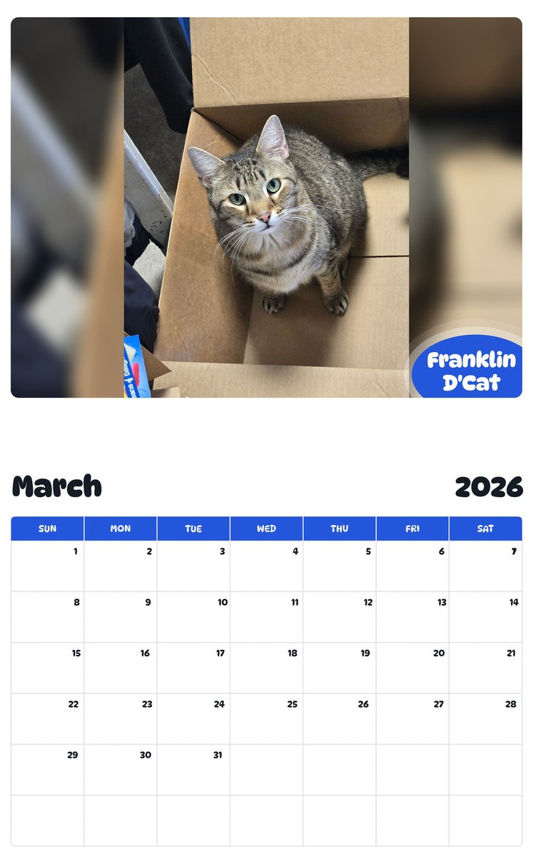 November 2025 - October 2026 Franklin D'Cat - Pawidols Pet Calendar