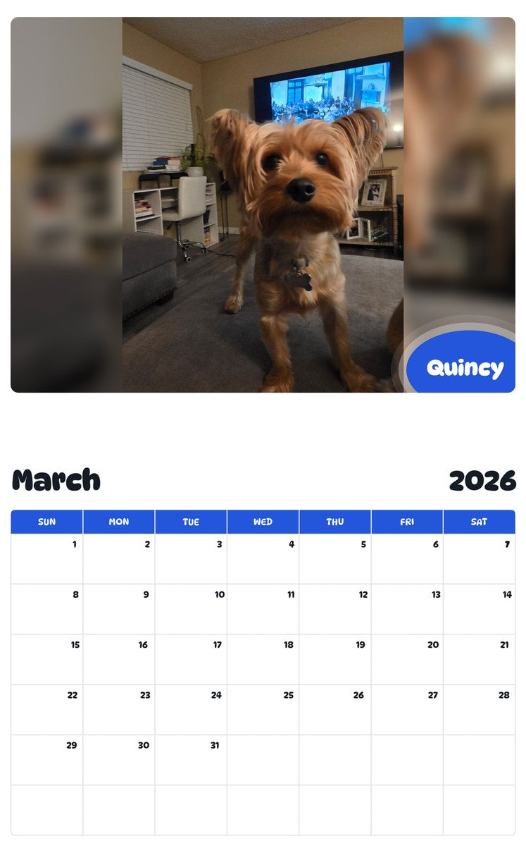 November 2025 - October 2026 Quincy - Pawidols Pet Calendar