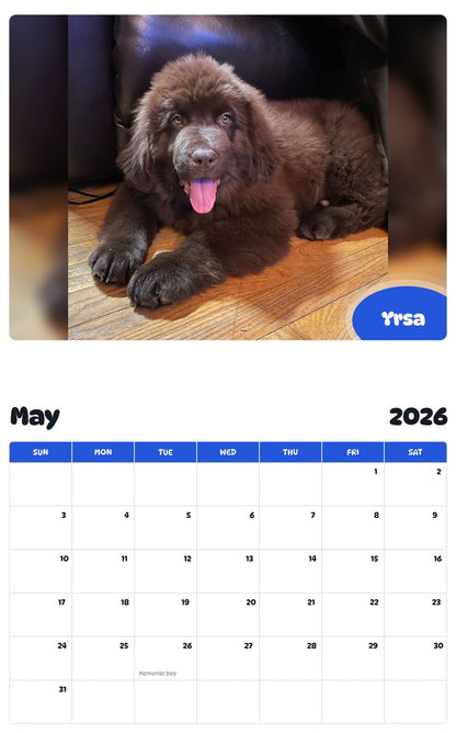 2026 - 2027 Yrsa - Pawidols Pet Calendar