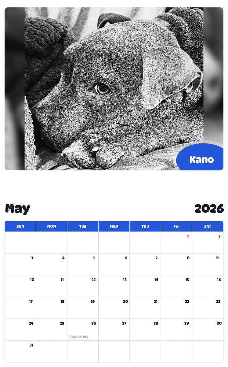 2026 - 2027 Kano - Pawidols Pet Calendar