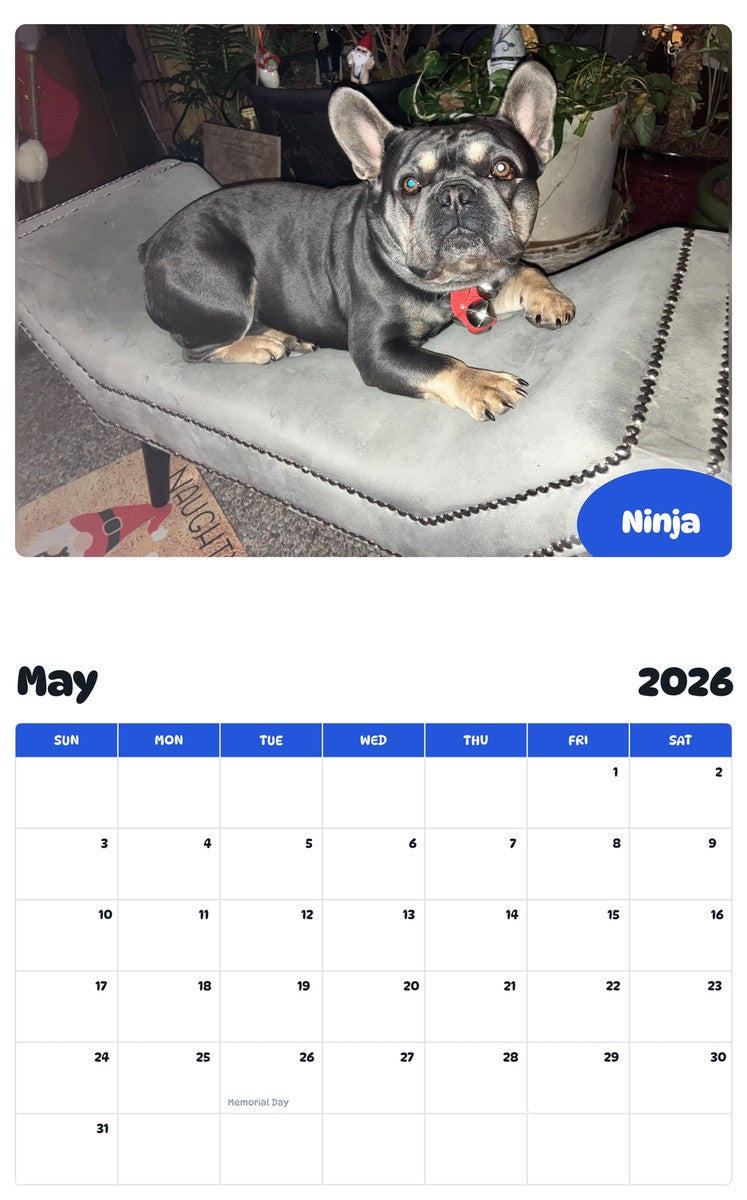2026 - 2027 Ninja - Pawidols Pet Calendar