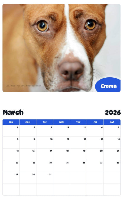 November 2025 - October 2026 Emma - Pawidols Pet Calendar