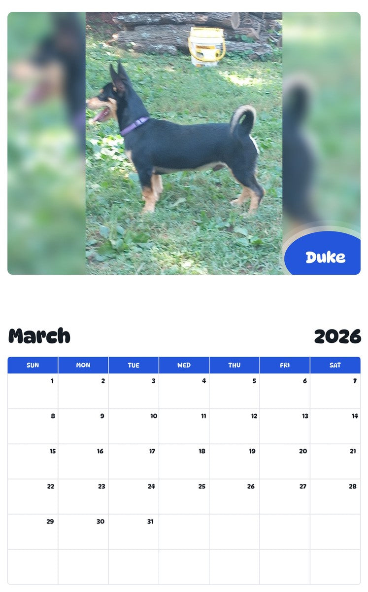 November 2025 - October 2026 Duke - Pawidols Pet Calendar