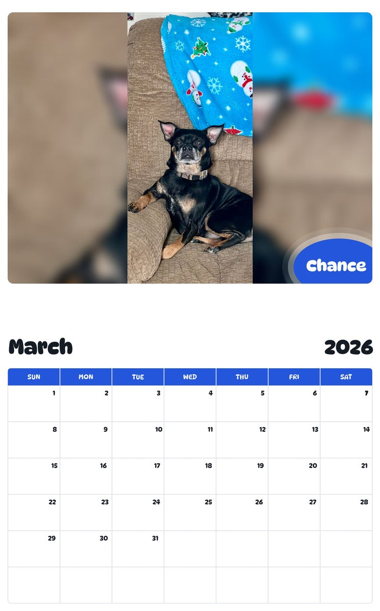 November 2025 - October 2026 Chance - Pawidols Pet Calendar