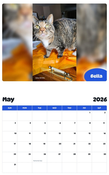 2026 - 2027 Bella - Pawidols Pet Calendar