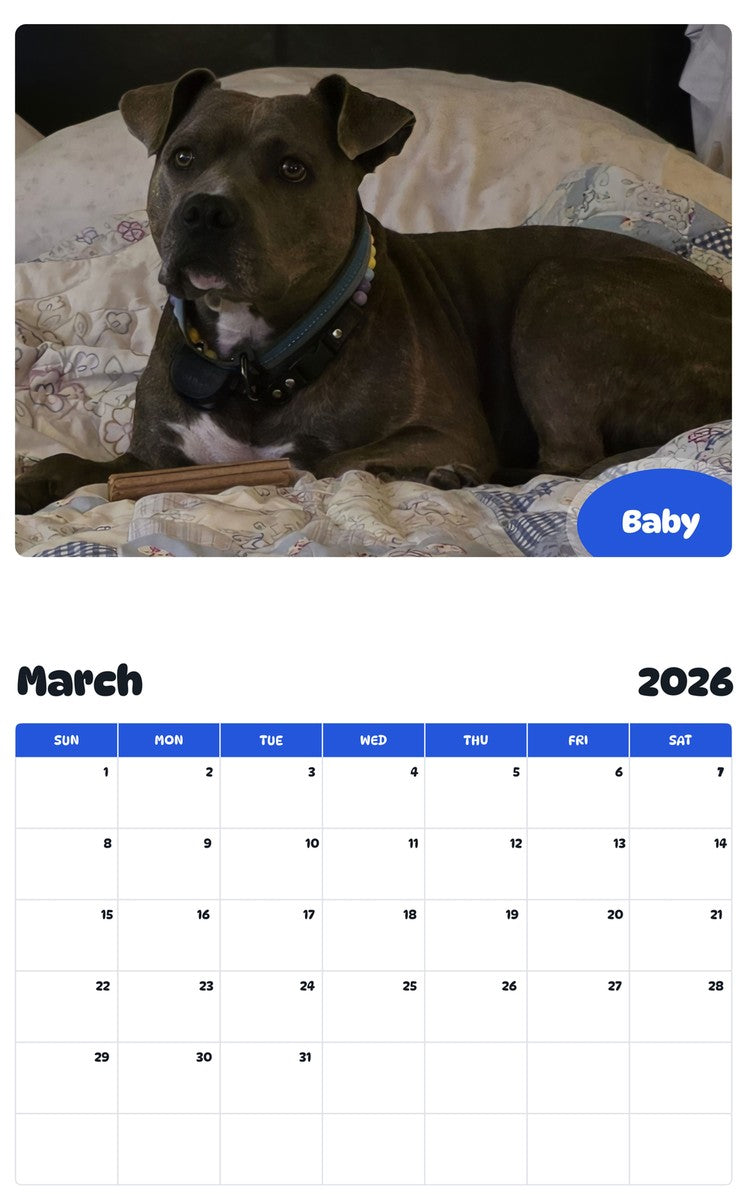 November 2025 - October 2026 Baby - Pawidols Pet Calendar