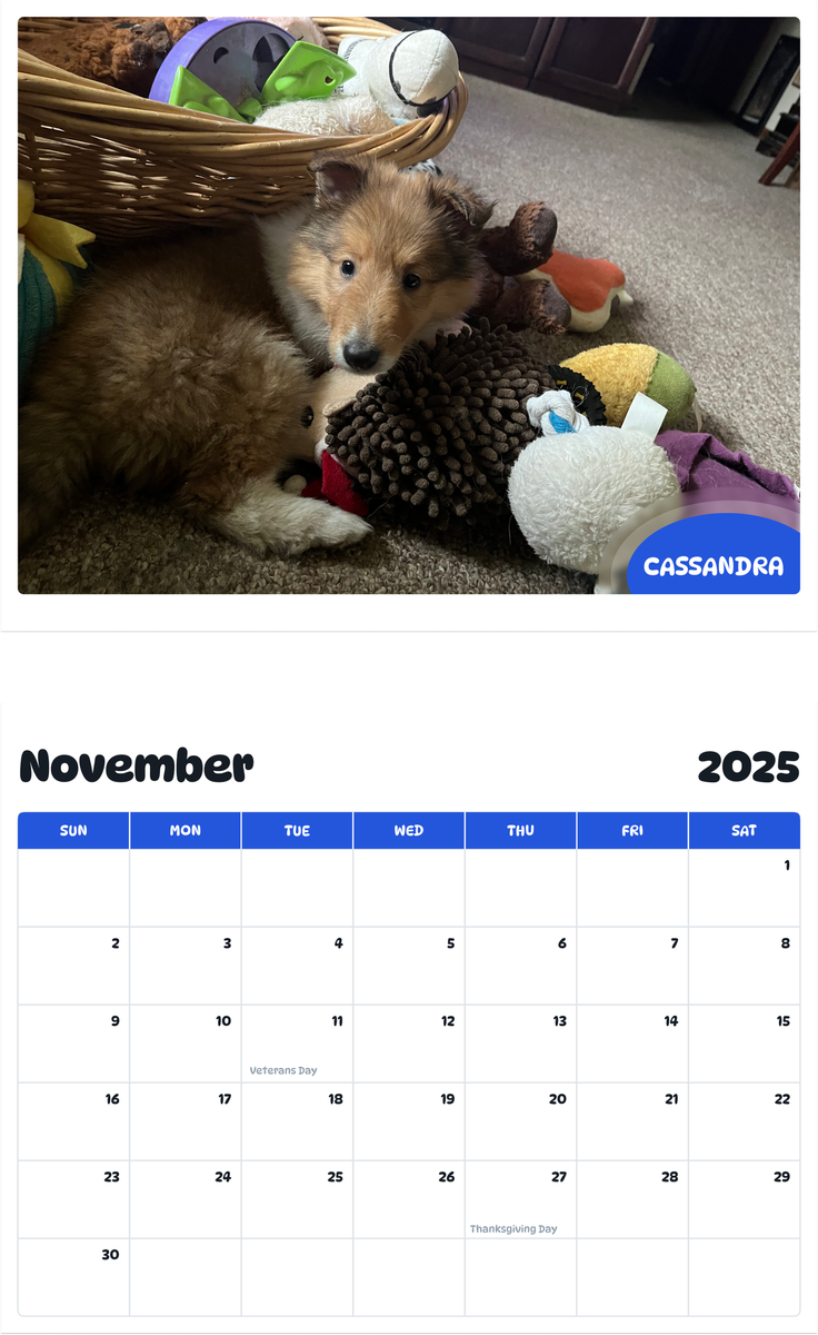 July 2025 - June 2026 Cassandra - Pawidols Pet Calendar