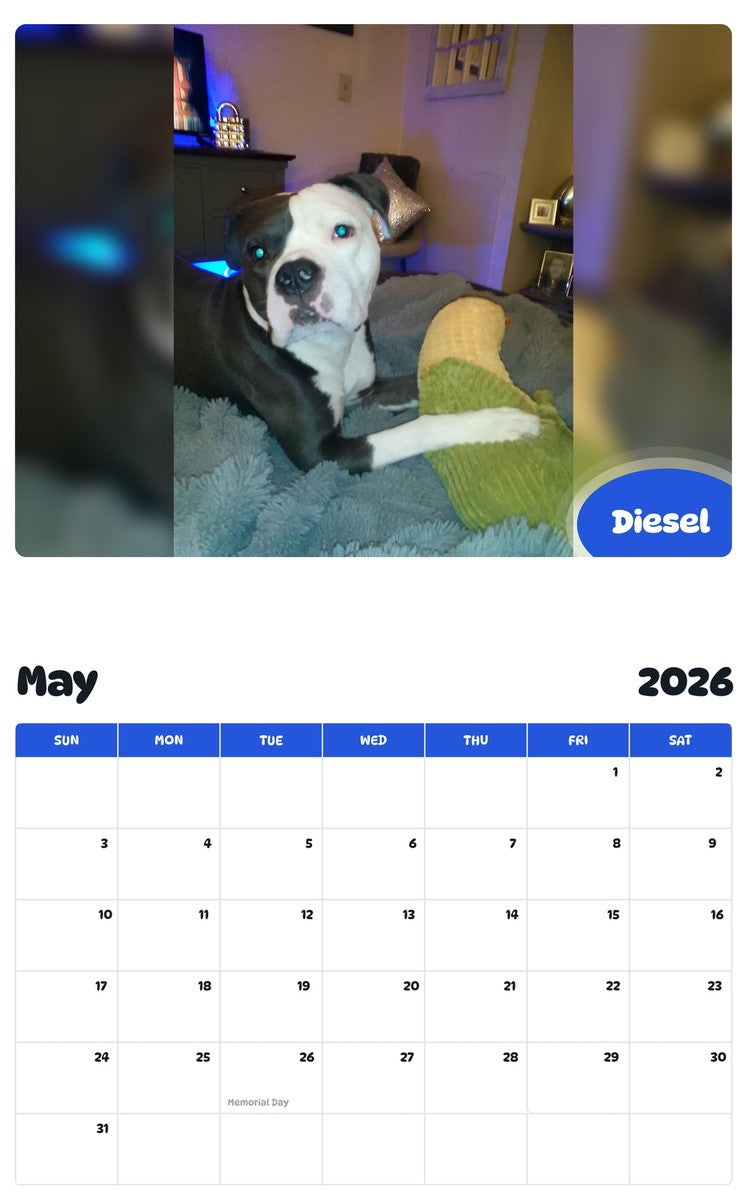 2026 - 2027 Diesel - Pawidols Pet Calendar