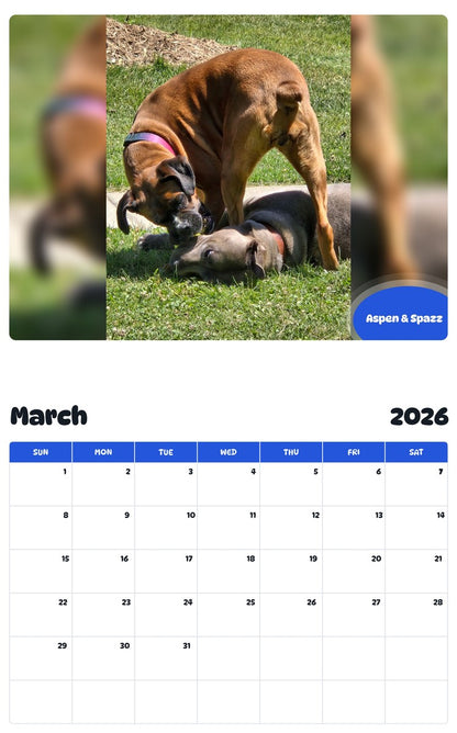 November 2025 - October 2026 Aspen & Spazz - Pawidols Pet Calendar
