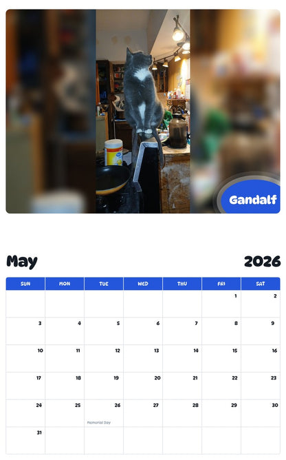 2026 - 2027 Gandalf - Pawidols Pet Calendar