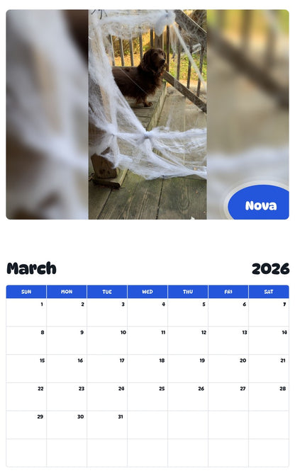 November 2025 - October 2026 Nova - Pawidols Pet Calendar