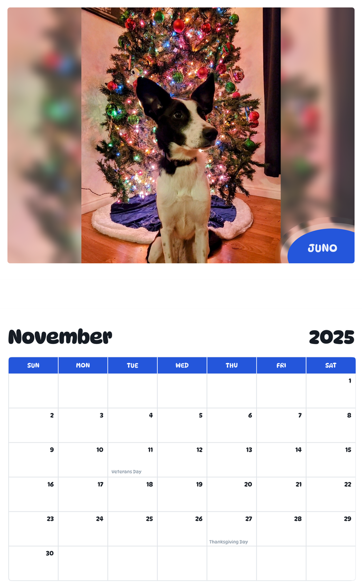 July 2025 - June 2026 Juno - Pawidols Pet Calendar