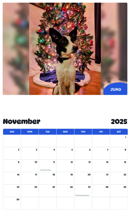 July 2025 - June 2026 Juno - Pawidols Pet Calendar