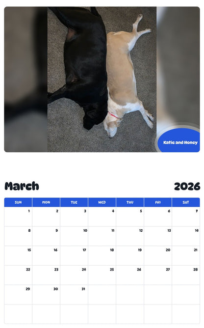 November 2025 - October 2026 Katie and Honey - Pawidols Pet Calendar