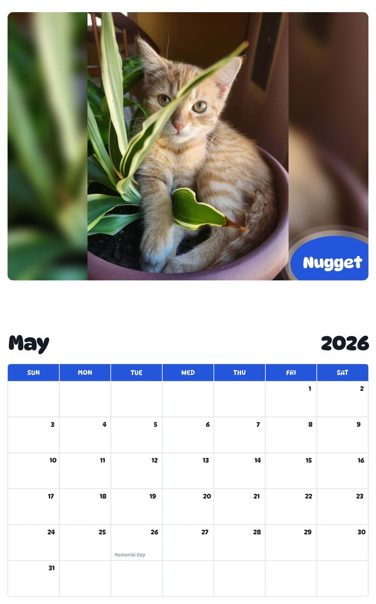 2026 - 2027 Nugget - Pawidols Pet Calendar
