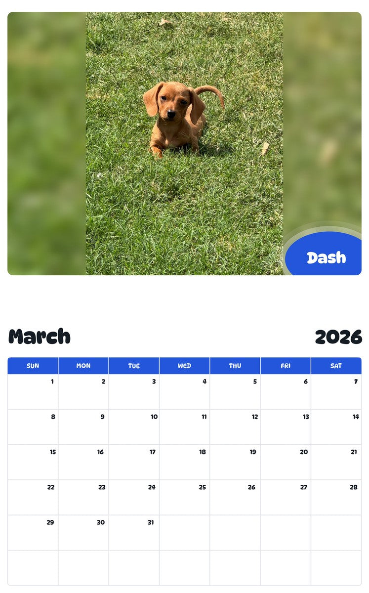 November 2025 - October 2026 Dash - Pawidols Pet Calendar