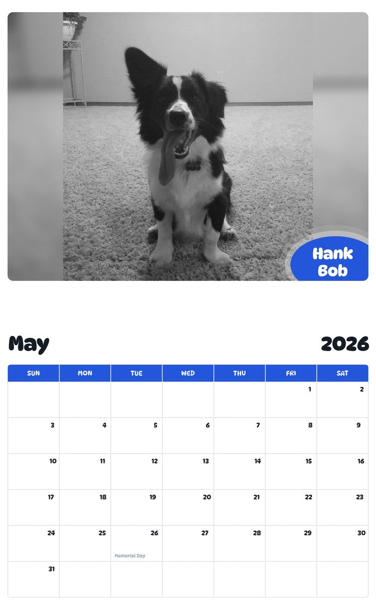 2026 - 2027 Hank Bob - Pawidols Pet Calendar