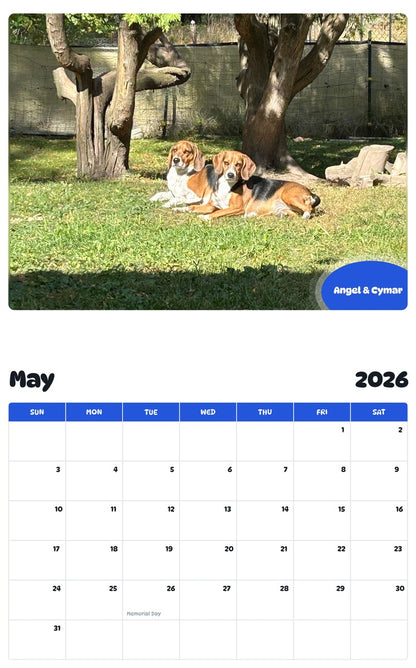 2026 - 2027 Angel & Cymar - Pawidols Pet Calendar