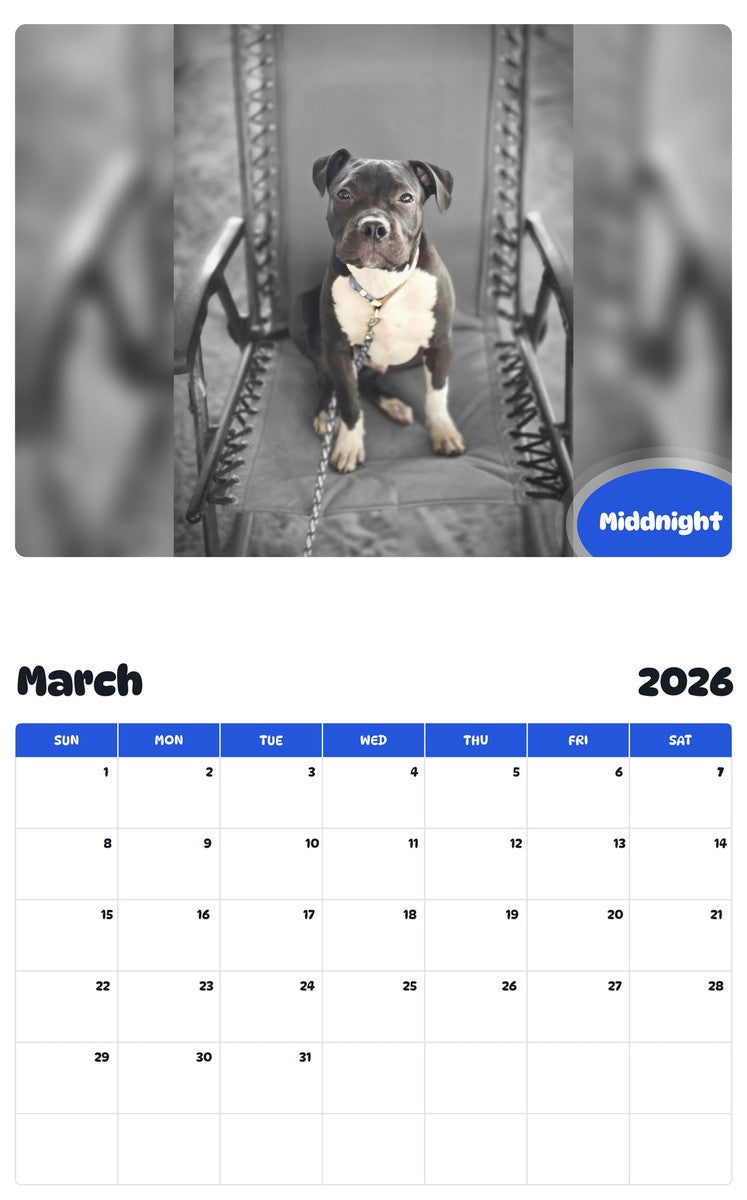 November 2025 - October 2026 Middnight - Pawidols Pet Calendar