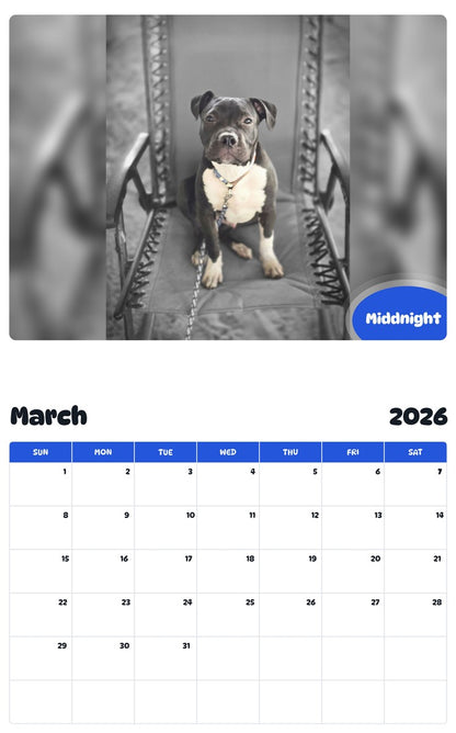 November 2025 - October 2026 Middnight - Pawidols Pet Calendar
