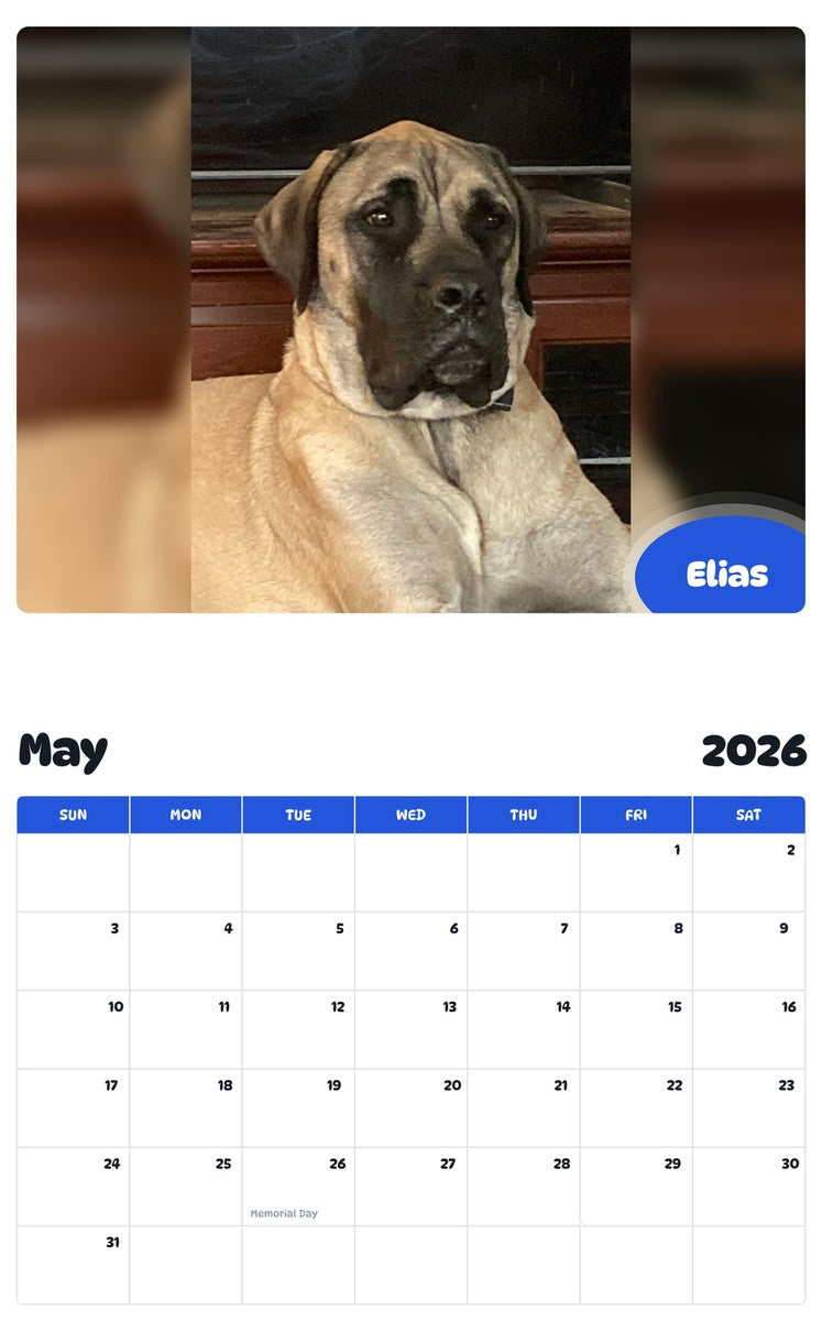 2026 - 2027 Elias - Pawidols Pet Calendar