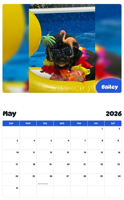 2026 - 2027 Bailey - Pawidols Pet Calendar