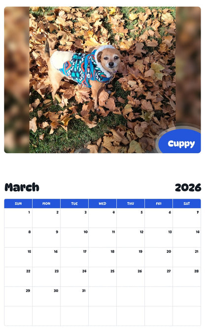 November 2025 - October 2026 Cuppy - Pawidols Pet Calendar