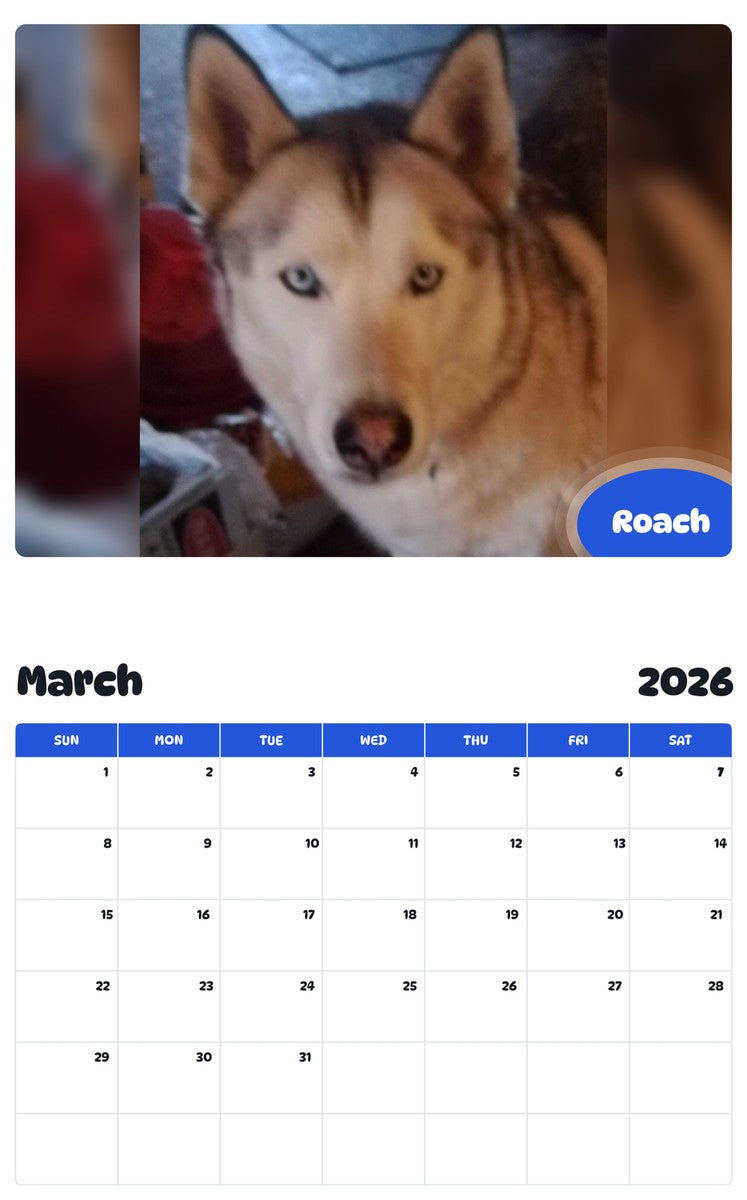 November 2025 - October 2026 Roach - Pawidols Pet Calendar