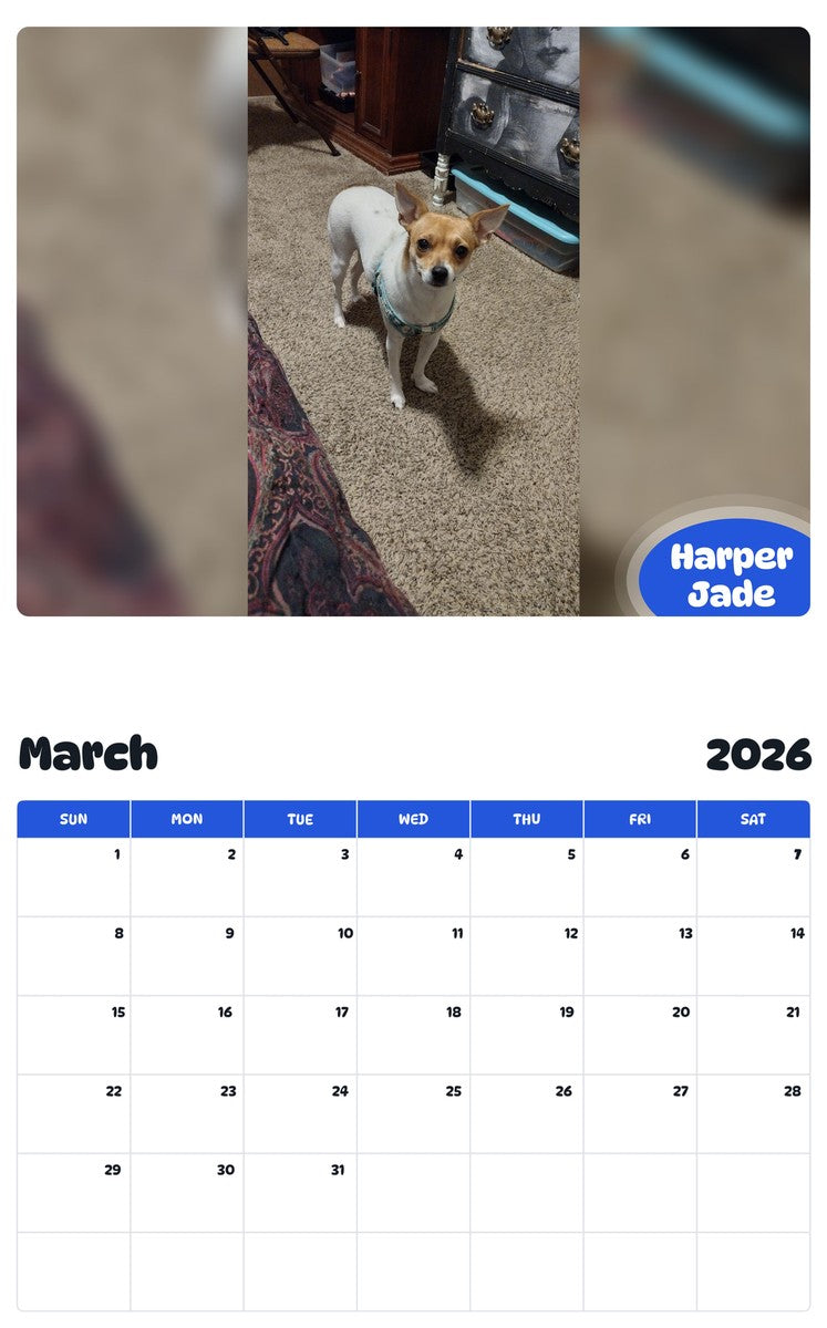November 2025 - October 2026 Harper Jade - Pawidols Pet Calendar