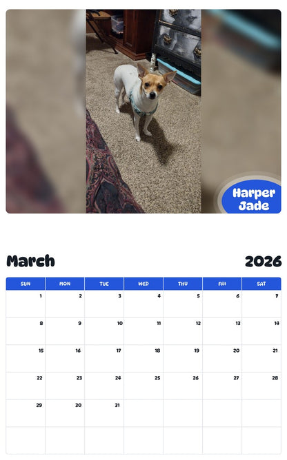 November 2025 - October 2026 Harper Jade - Pawidols Pet Calendar