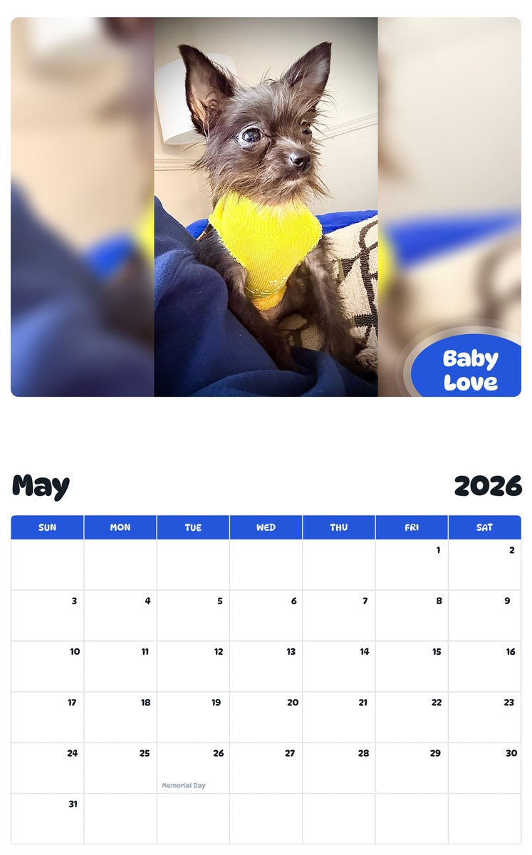 2026 - 2027 Baby Love - Pawidols Pet Calendar