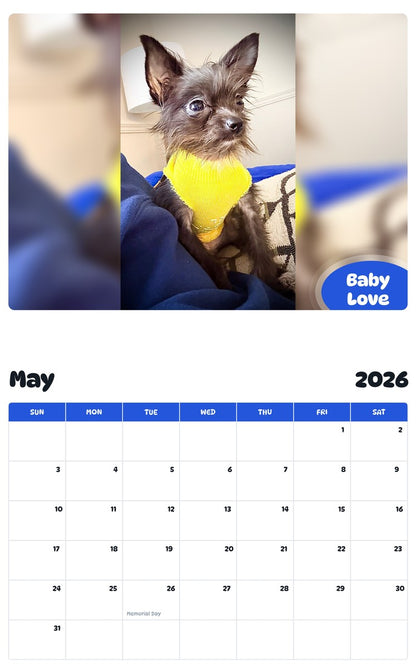 2026 - 2027 Baby Love - Pawidols Pet Calendar