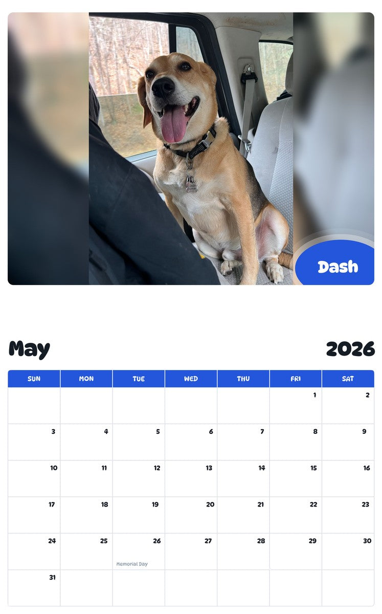 2026 - 2027 Dash - Pawidols Pet Calendar