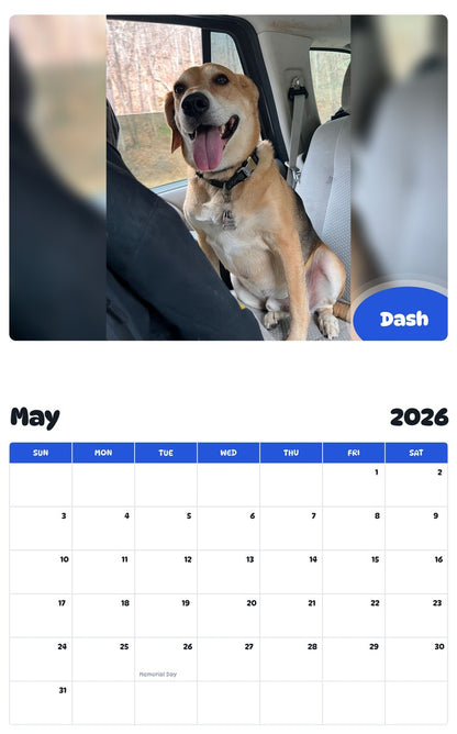 2026 - 2027 Dash - Pawidols Pet Calendar