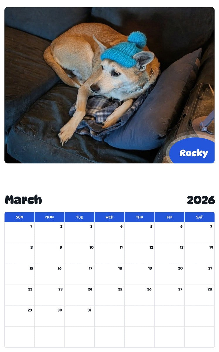 November 2025 - October 2026 Rocky - Pawidols Pet Calendar