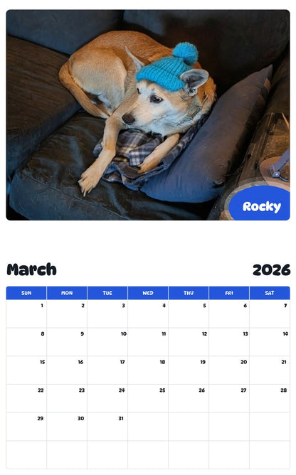 November 2025 - October 2026 Rocky - Pawidols Pet Calendar