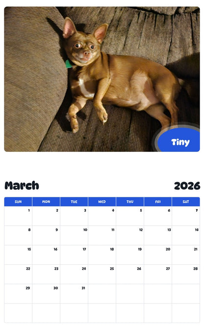 November 2025 - October 2026 Tiny - Pawidols Pet Calendar