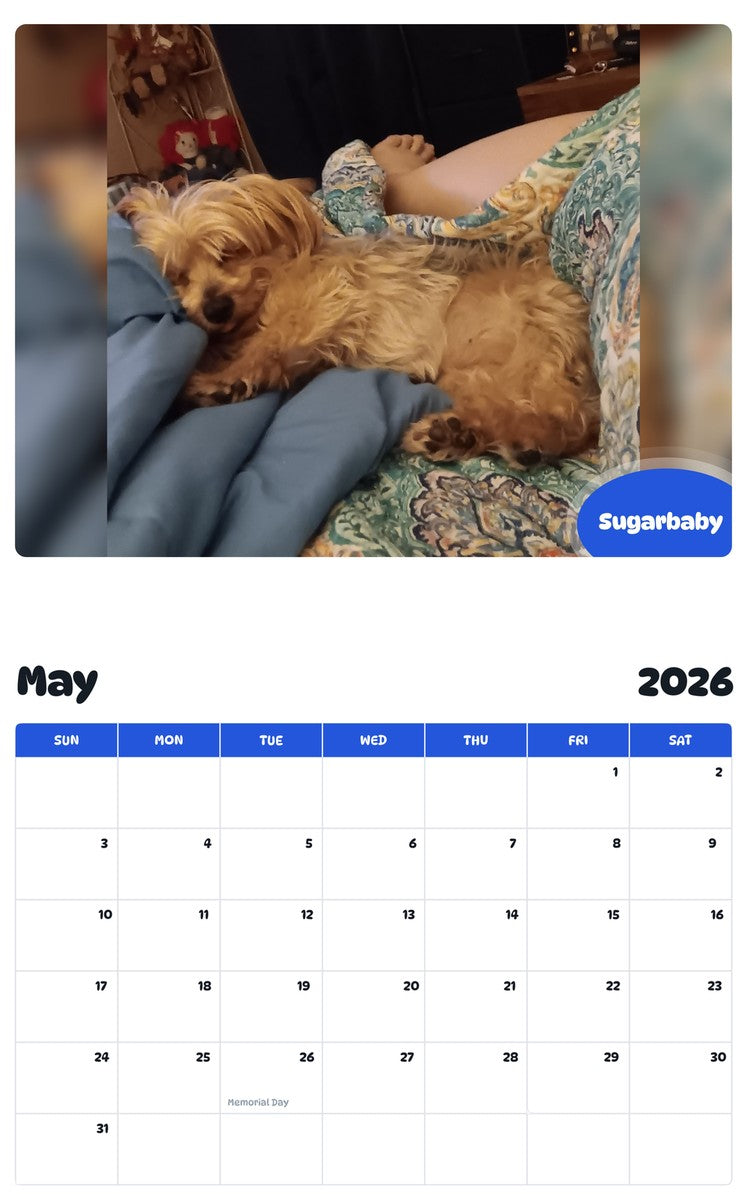 2026 - 2027 Sugarbaby - Pawidols Pet Calendar