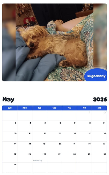 2026 - 2027 Sugarbaby - Pawidols Pet Calendar