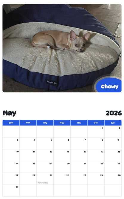 2026 - 2027 Chewy - Pawidols Pet Calendar
