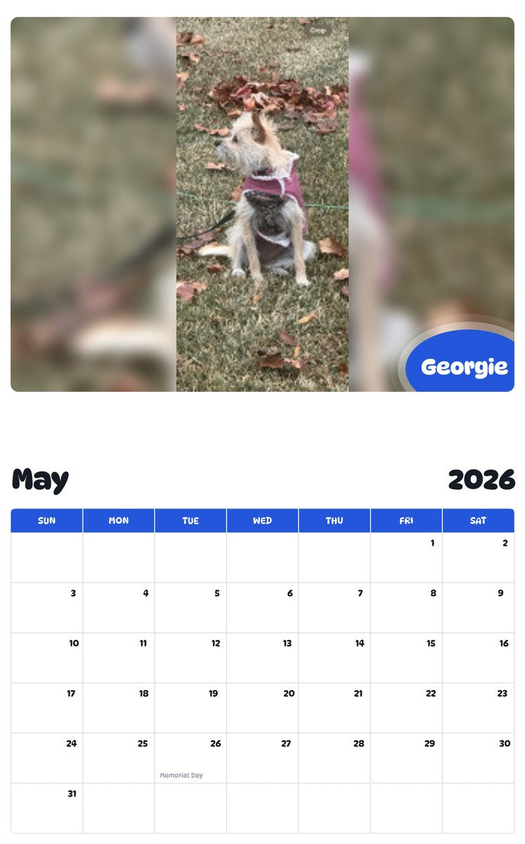 2026 - 2027 Georgie - Pawidols Pet Calendar