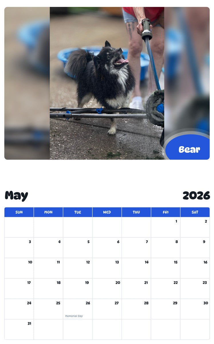 2026 - 2027 Bear - Pawidols Pet Calendar