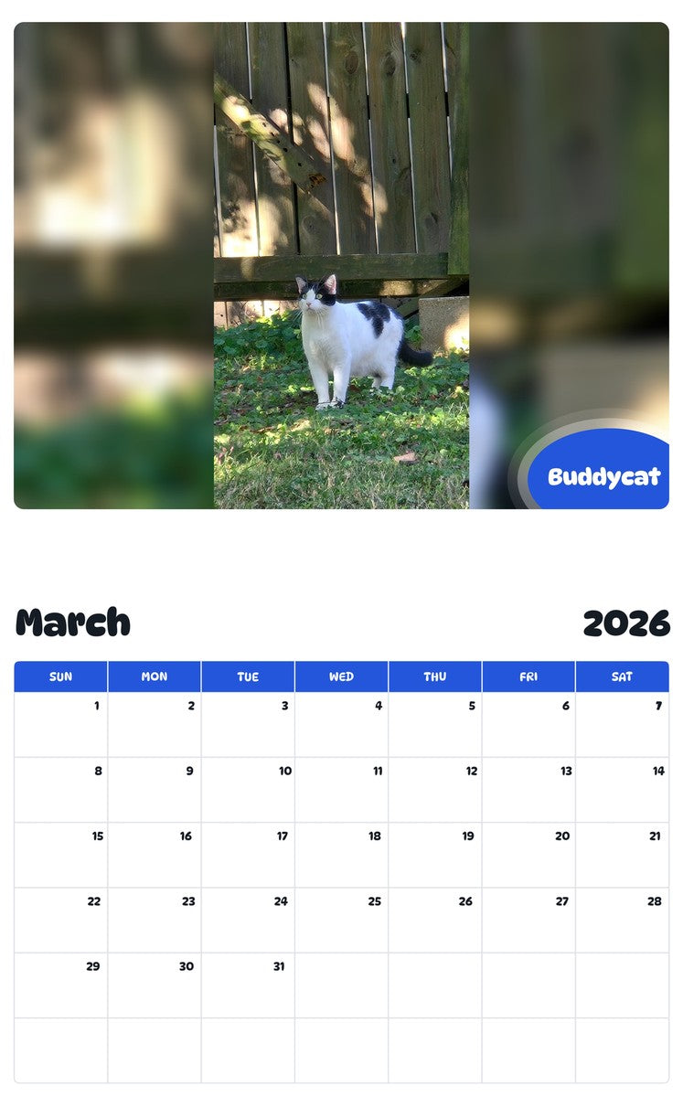 November 2025 - October 2026 Buddycat - Pawidols Pet Calendar
